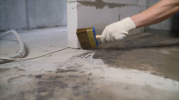 SJ Waterproofing Pros Basement Waterproofing coverage map for Delton, MI and surrounding area